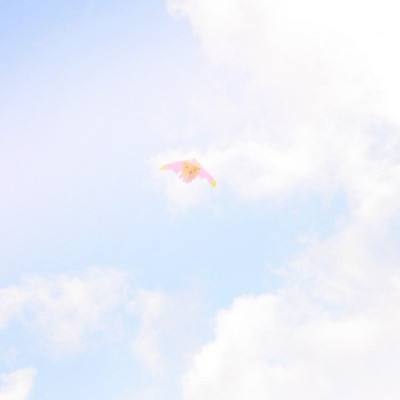 绯雨骑士团2中文破解版下载